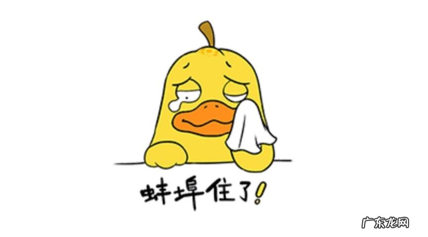 什么叫蚌埠住了 蚌埠是哪个省的城市