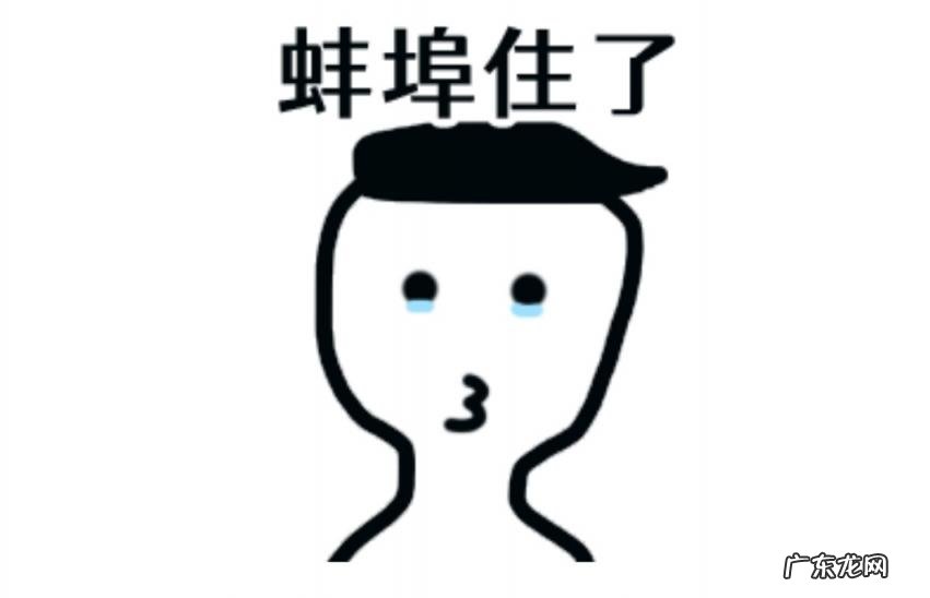 什么叫蚌埠住了 蚌埠是哪个省的城市