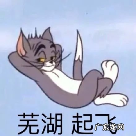 什么叫蚌埠住了 蚌埠是哪个省的城市