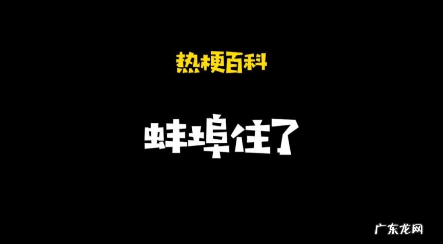 什么叫蚌埠住了 蚌埠是哪个省的城市