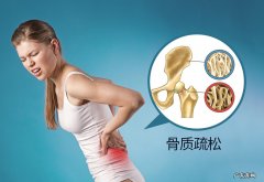 雌激素的产生 结合雌激素