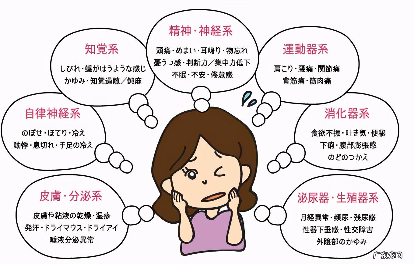 雌激素的产生 结合雌激素