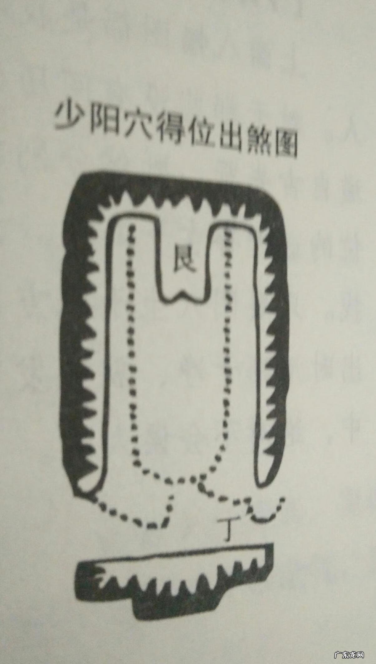 父亲坟墓风水对儿子的影响 父母坟地风水