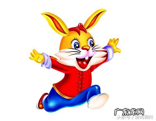 属兔的人家里风水放什么 属兔电表箱的风水