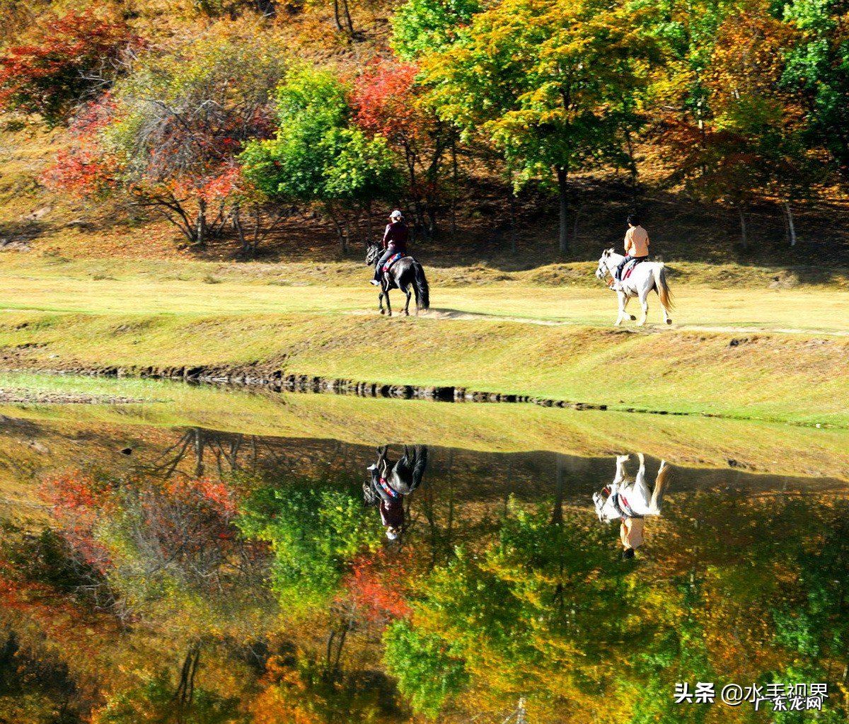 北京自驾草原天路，然后去太仆寺旗好，还是乌兰布统好？有别的合适路线吗？