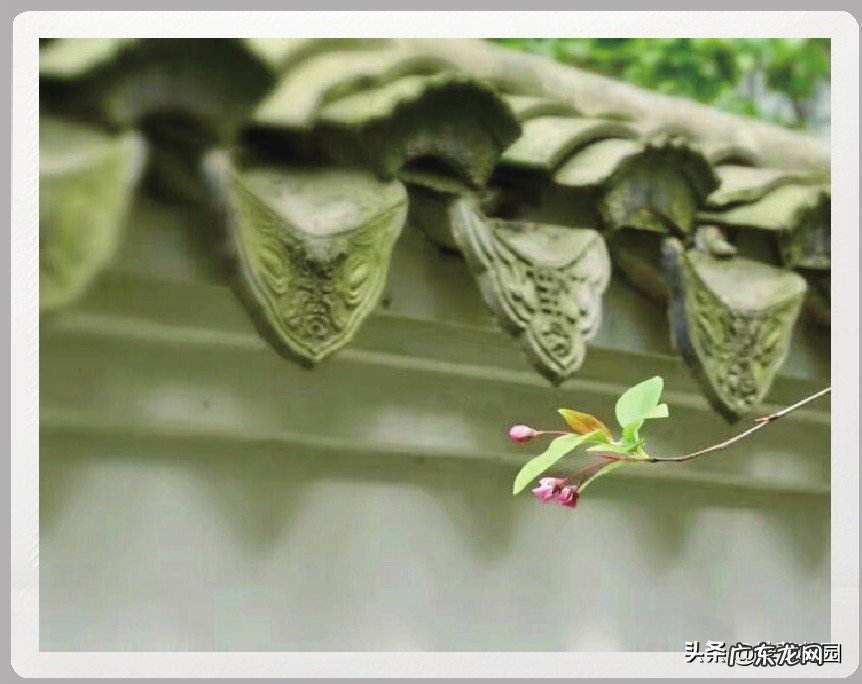 形容一下你的清明假期?