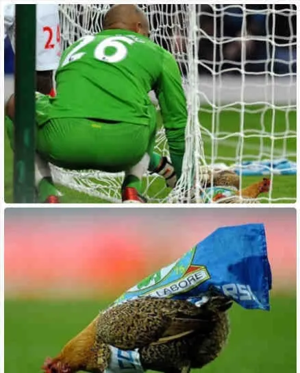 尤文叫老妇人，多特叫大黄蜂，你还能不能说出其他足球队的外号？