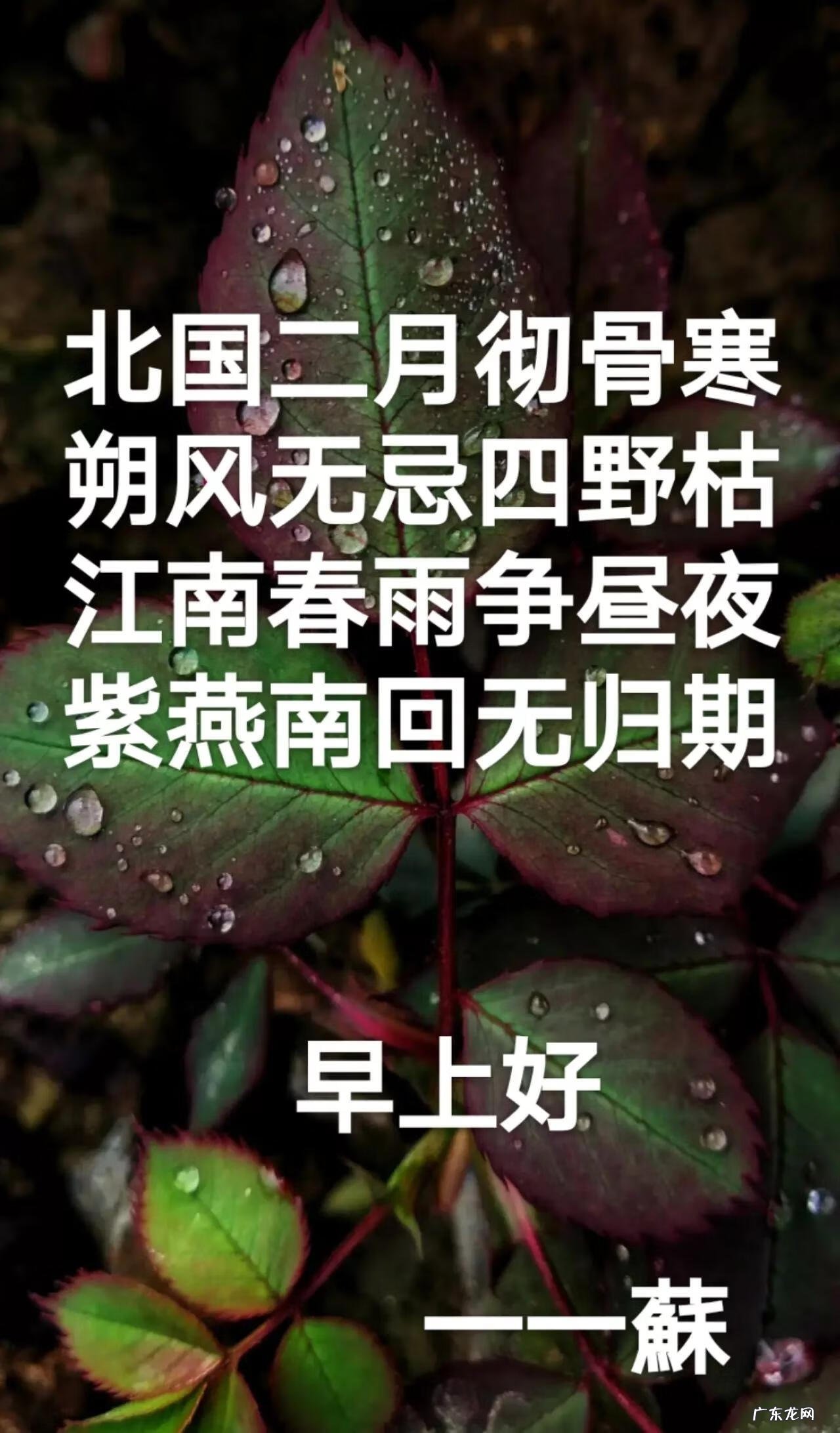 友友是什么软件 友友们