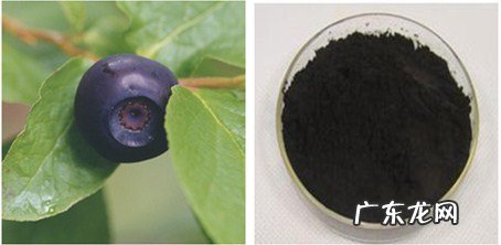 怎么样保养眼睛?