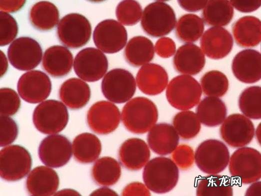 怎么样保养眼睛?