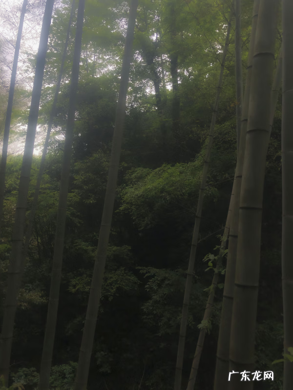 风水学中的水口指的是什么 风水学上的水口是什么意思