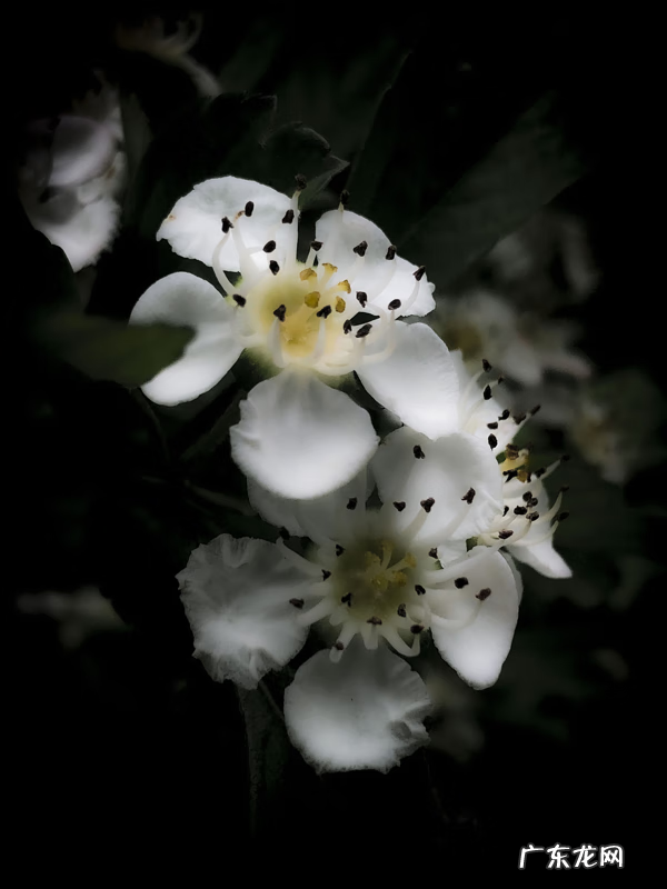 风水学中的水口指的是什么 风水学上的水口是什么意思