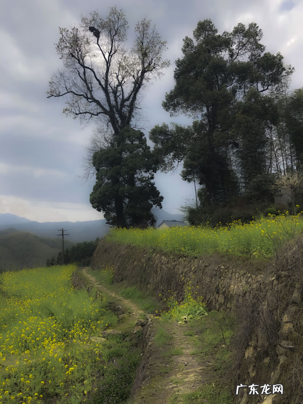 风水学中的水口指的是什么 风水学上的水口是什么意思