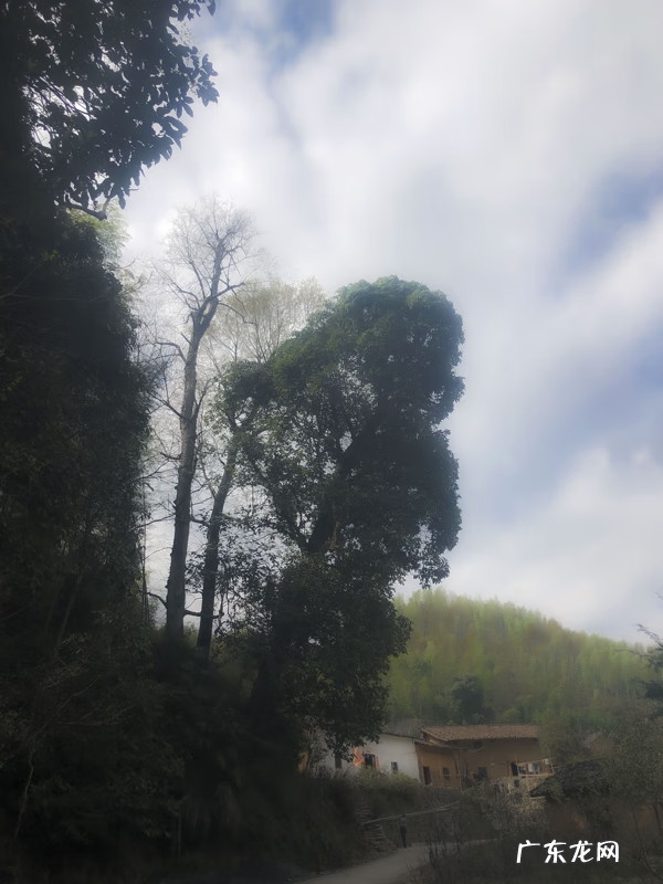 风水学中的水口指的是什么 风水学上的水口是什么意思