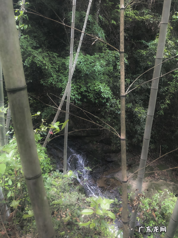 风水学中的水口指的是什么 风水学上的水口是什么意思