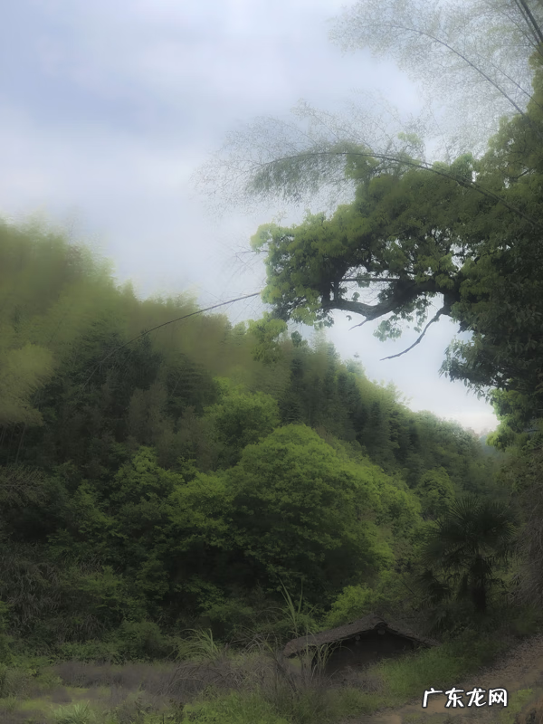 风水学中的水口指的是什么 风水学上的水口是什么意思