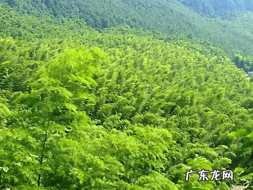 怎样看风水宝地 诸葛亮风水宝地