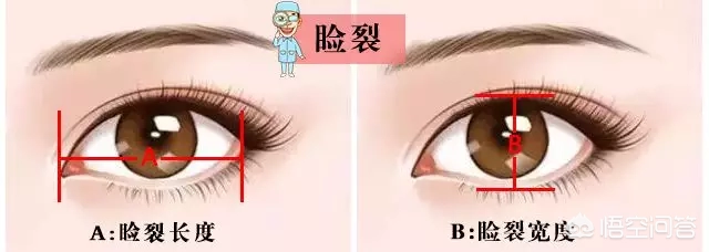 单眼皮好看的特征是什么?