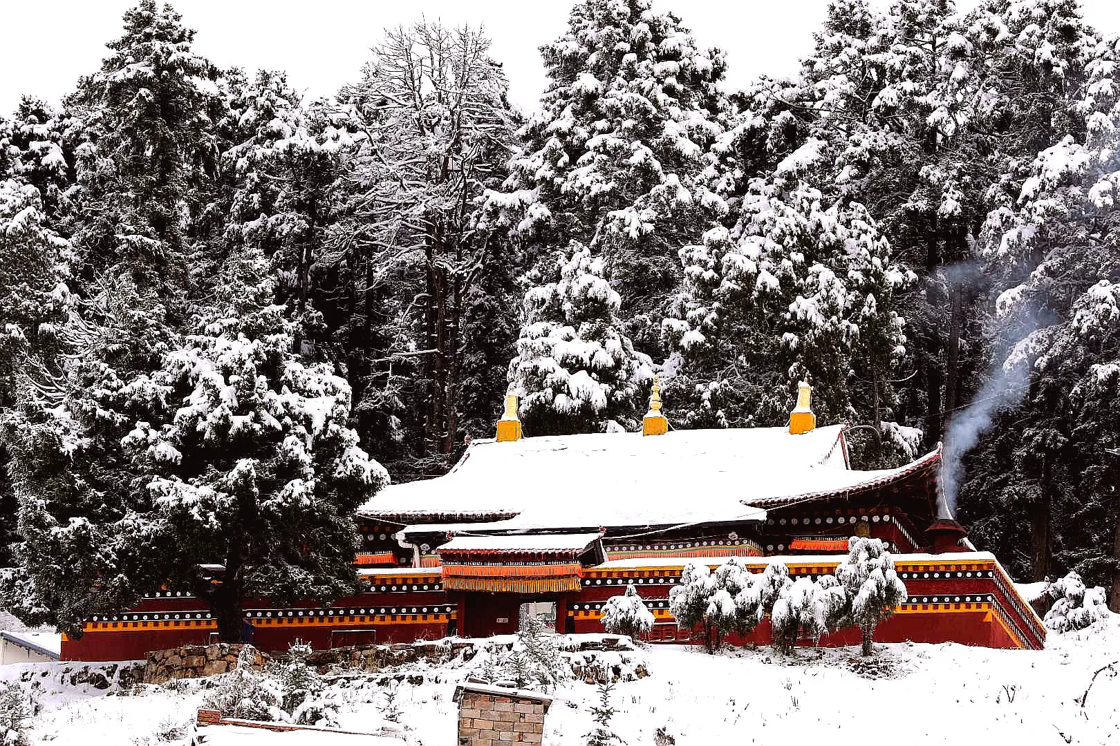 你拍摄过什么样的雪景？