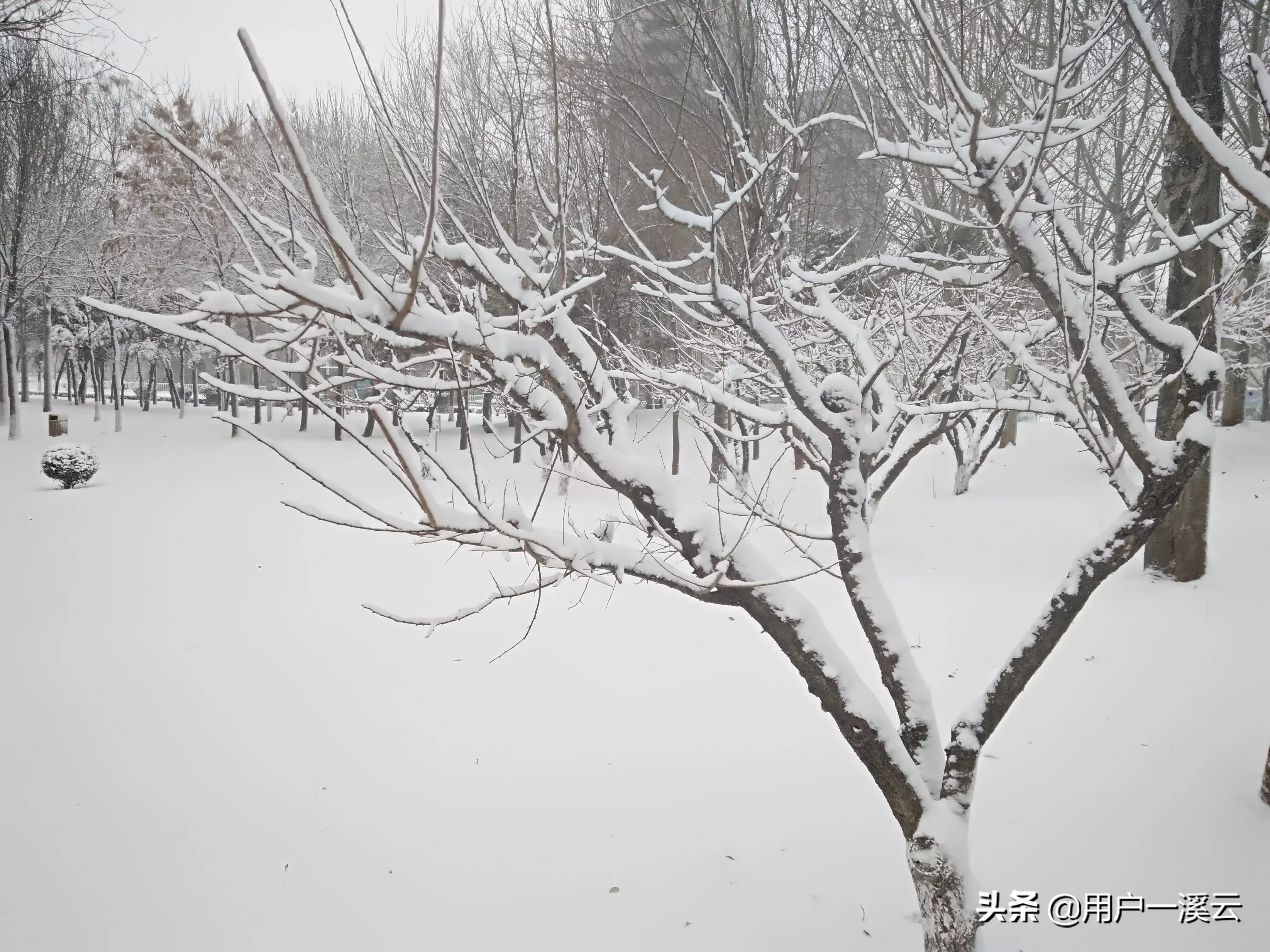 你拍摄过什么样的雪景？