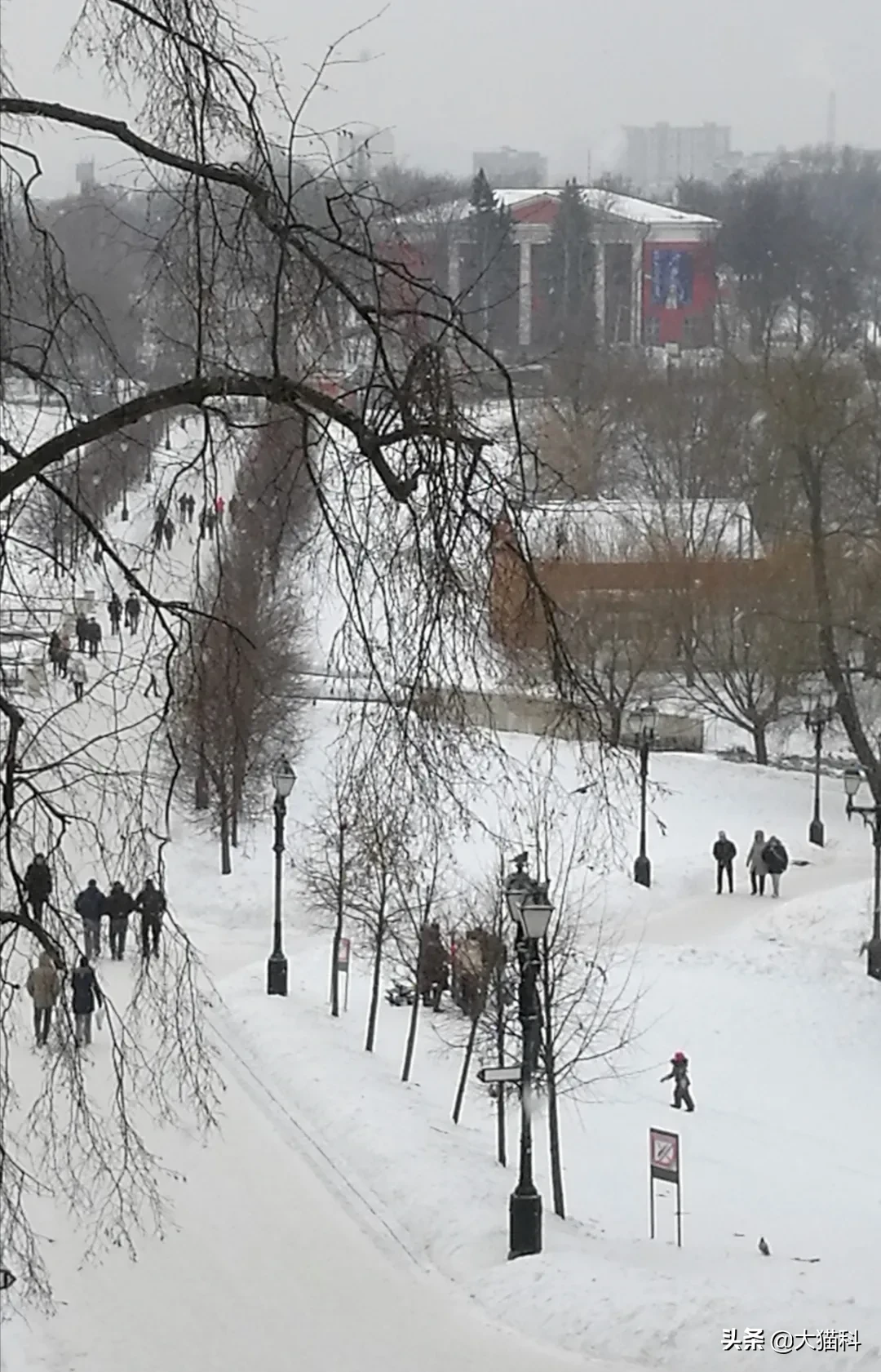 你拍摄过什么样的雪景？