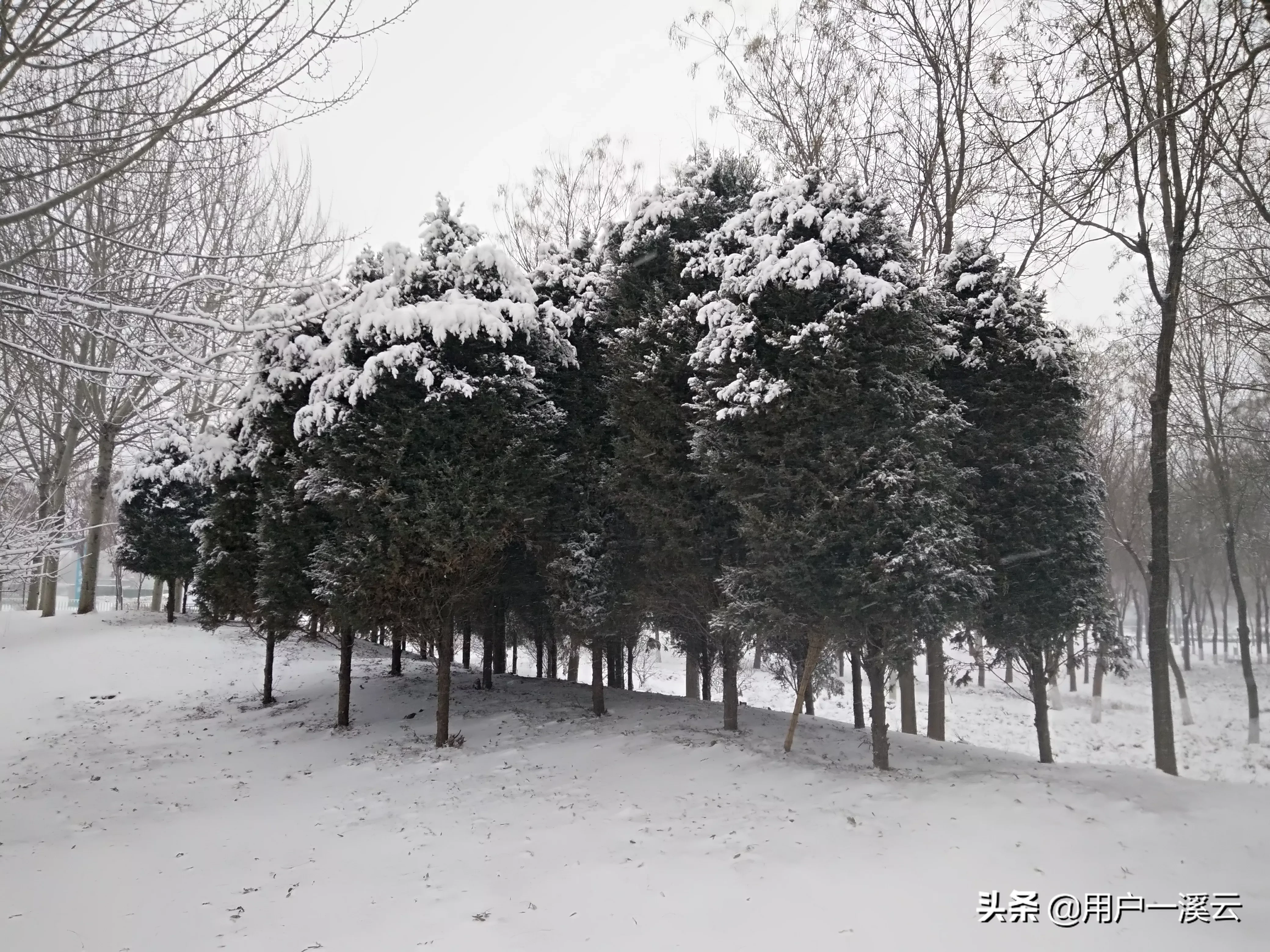 你拍摄过什么样的雪景？