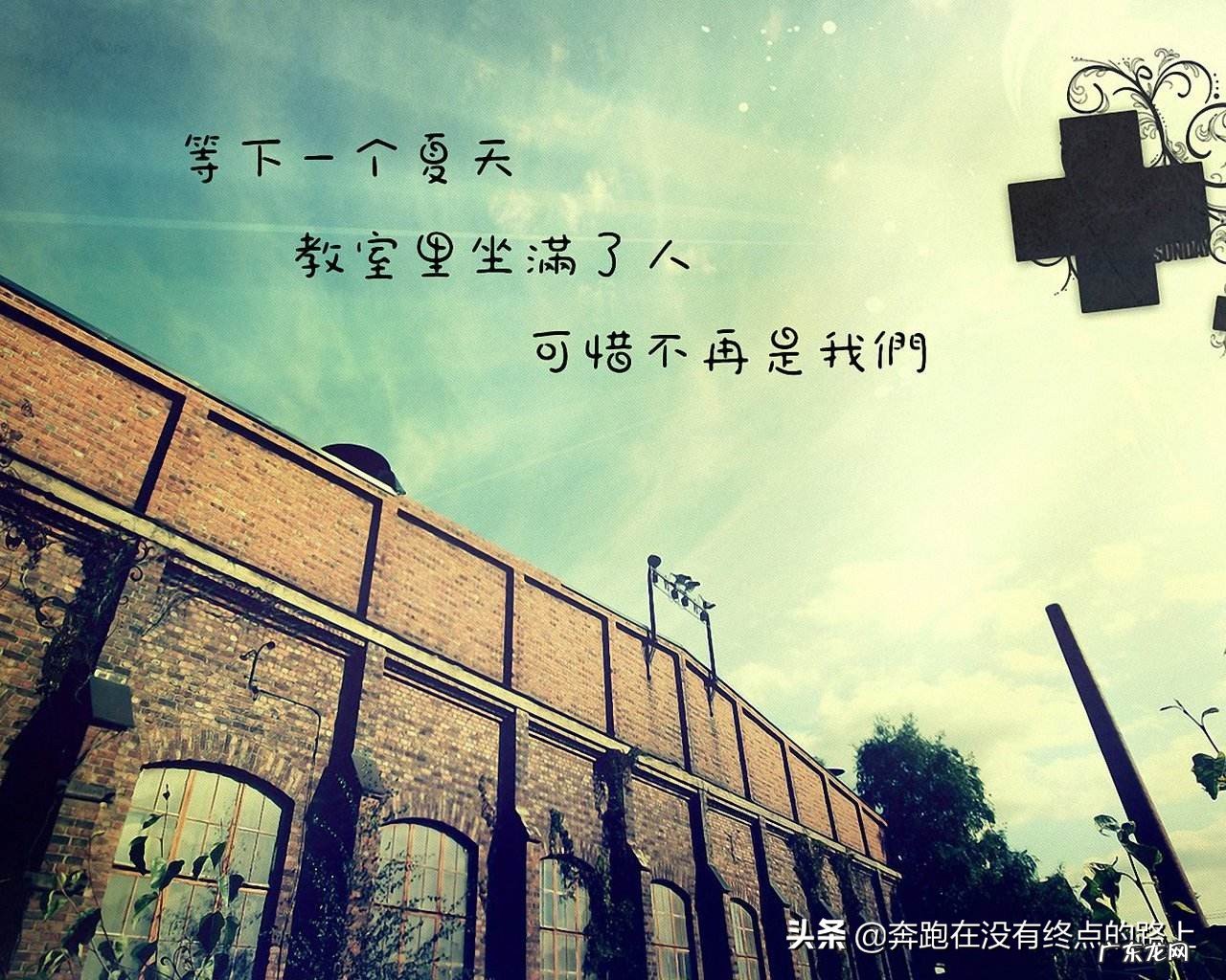 怎么理解我爱你,心里眼里,却不曾亲口告诉你?