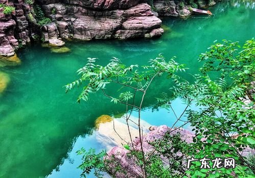 十二生肖会一直贫困还是富有？