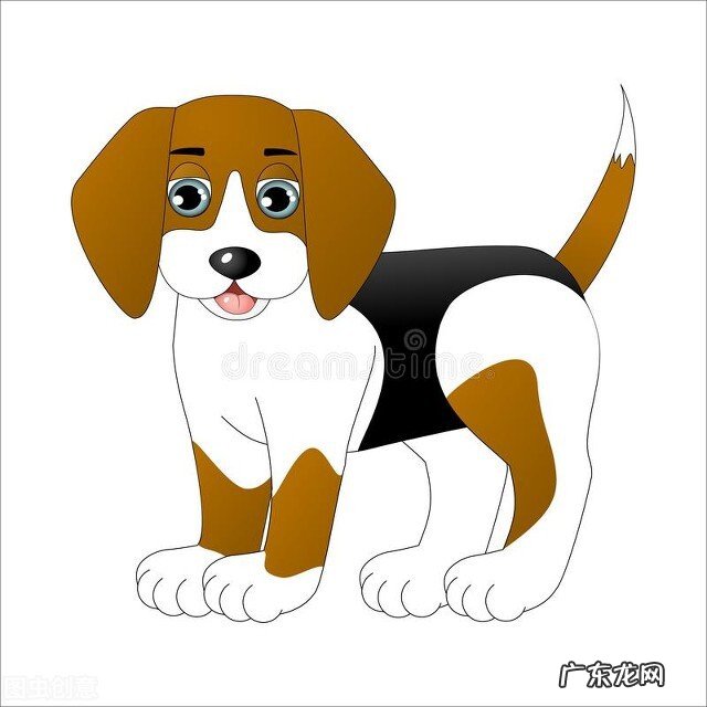 十二生肖会一直贫困还是富有？