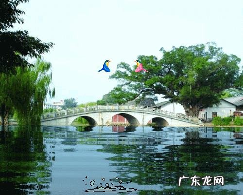 十二生肖会一直贫困还是富有？