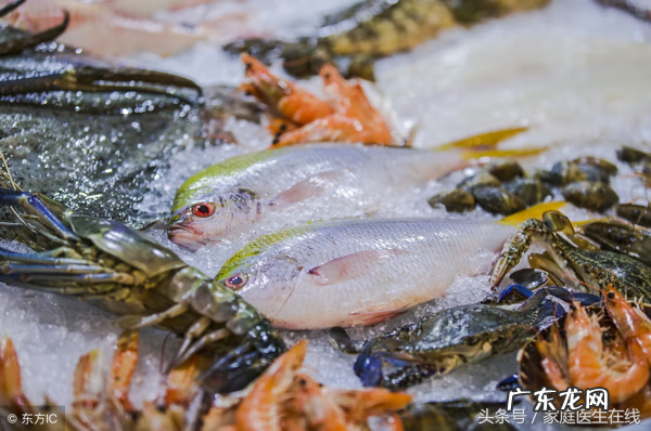 鸡精和味精的区别哪个更好 味精和鸡精的区别各
