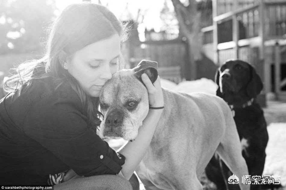 宠物临终前，会有什么征兆吗？