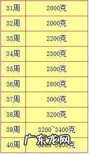 怀孕三十一周,胎儿现在有多重算正常呢?