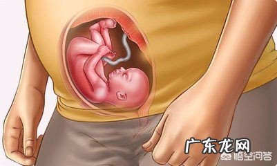 怀孕三十一周,胎儿现在有多重算正常呢?