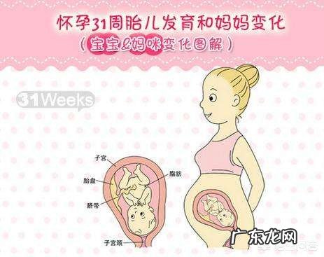 怀孕三十一周,胎儿现在有多重算正常呢?