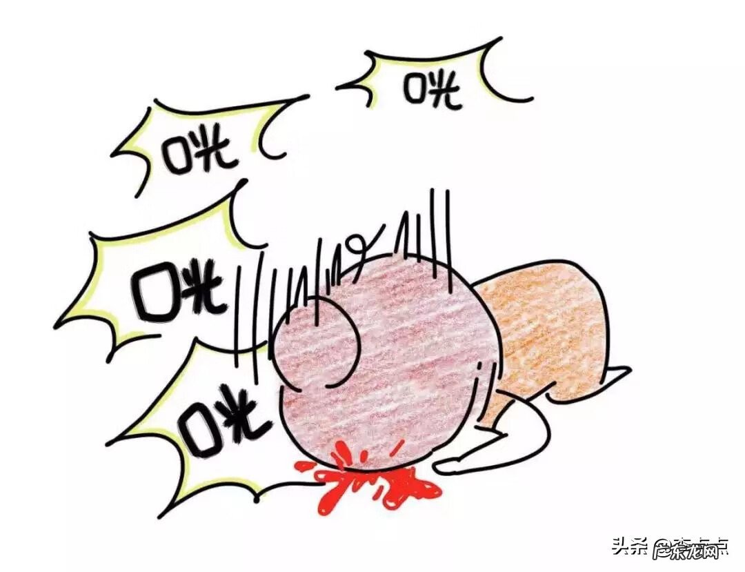 天啸是什么 天啸的意思