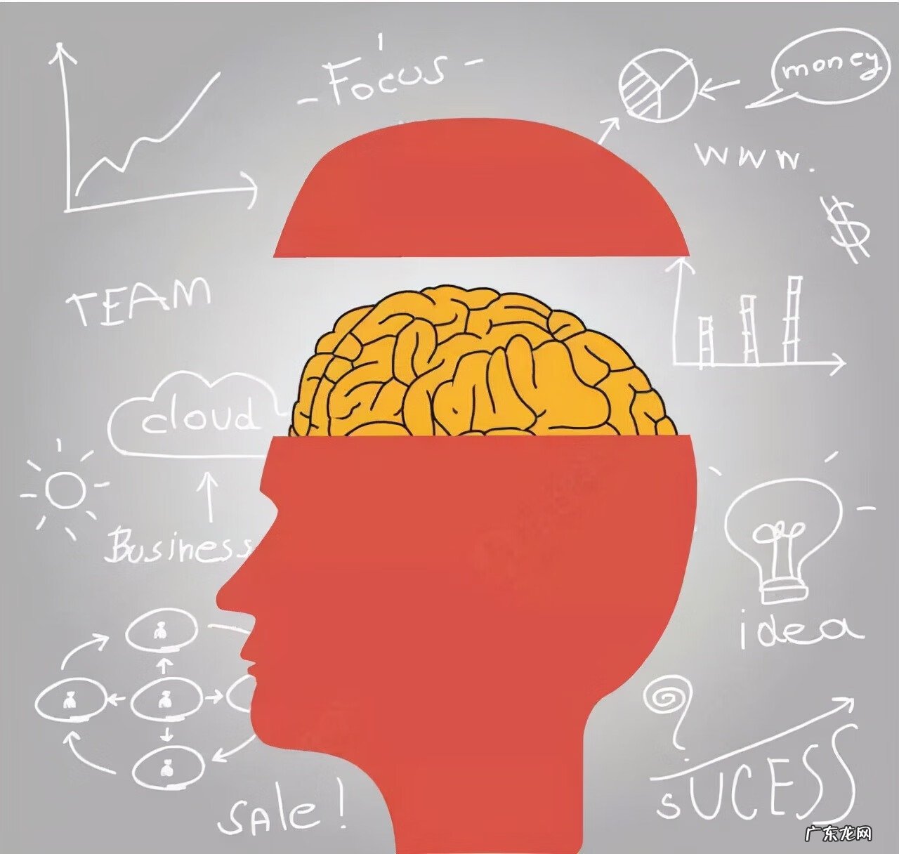 记忆大考验洛克 记忆大考验在哪