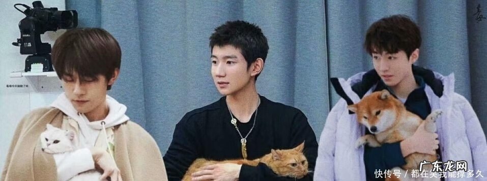 关于tfboys的游戏有哪些 tfboys的小游戏