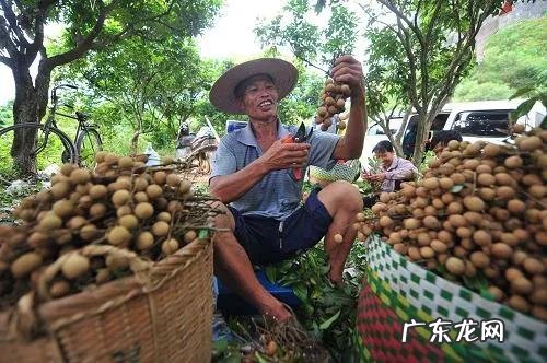 什么赚钱最快 有没有什么赚钱的方法