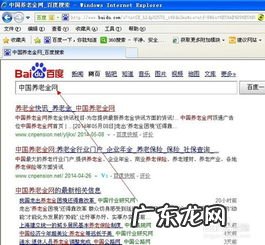 农村养老保险查询网上查询 农村养老保险查询系统