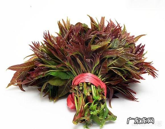 你认为春天是什么味道的？