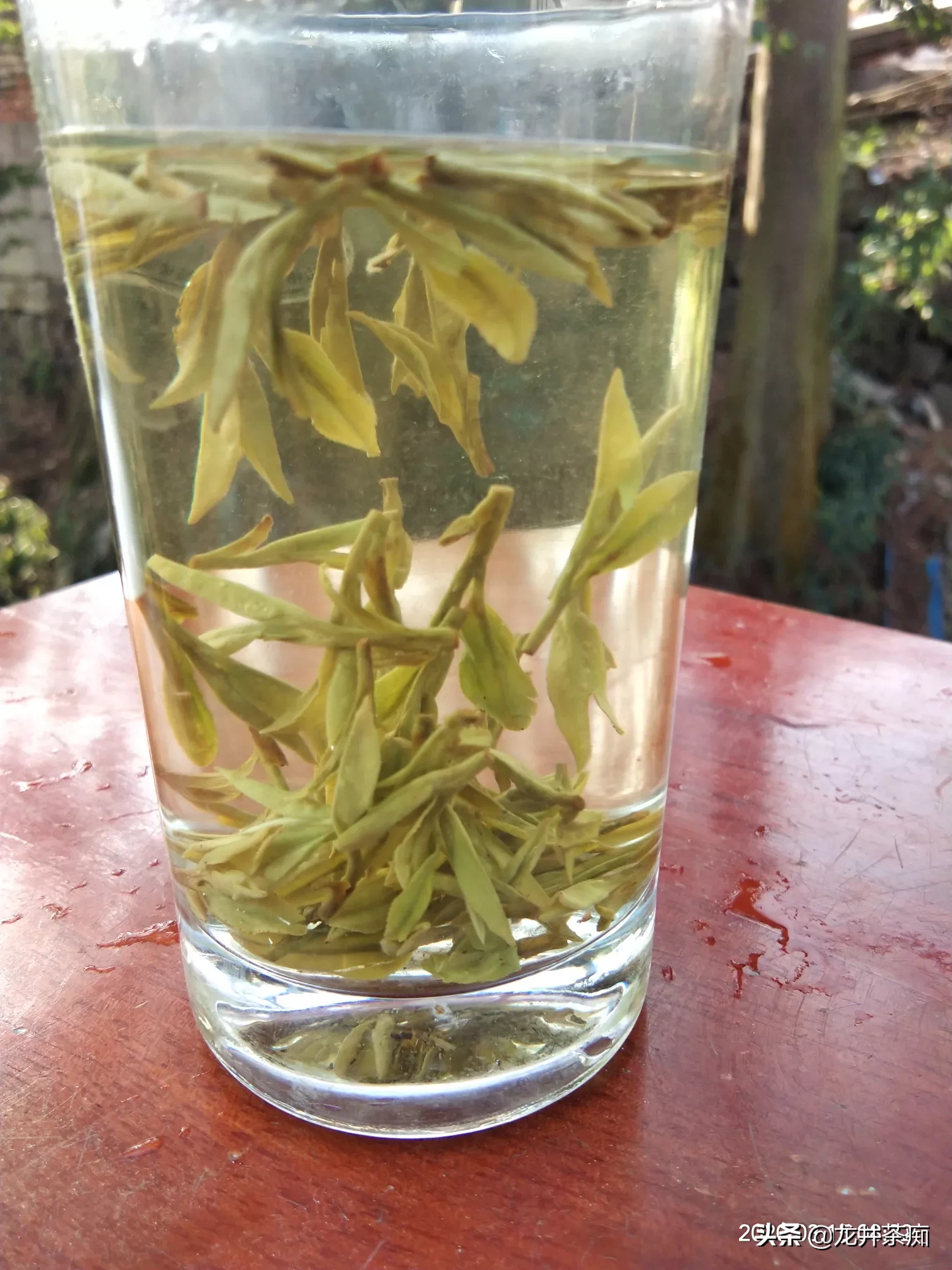 大家买茶选茶的标准是什么呢?