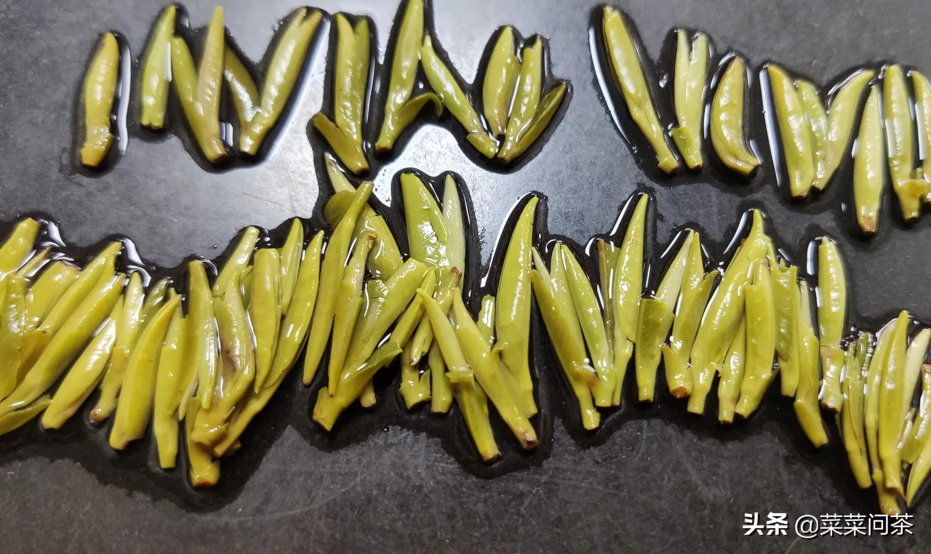 大家买茶选茶的标准是什么呢?