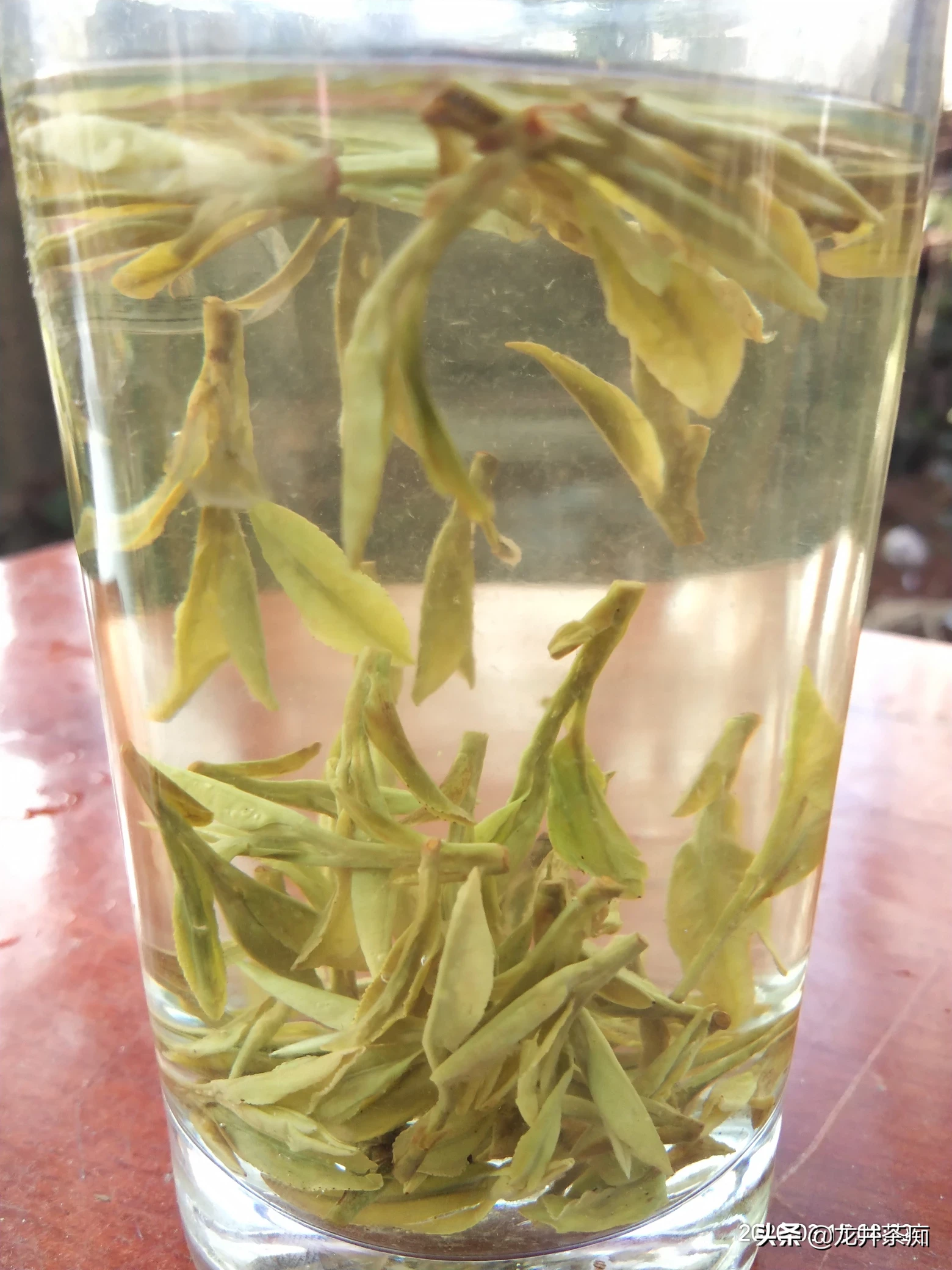 大家买茶选茶的标准是什么呢?