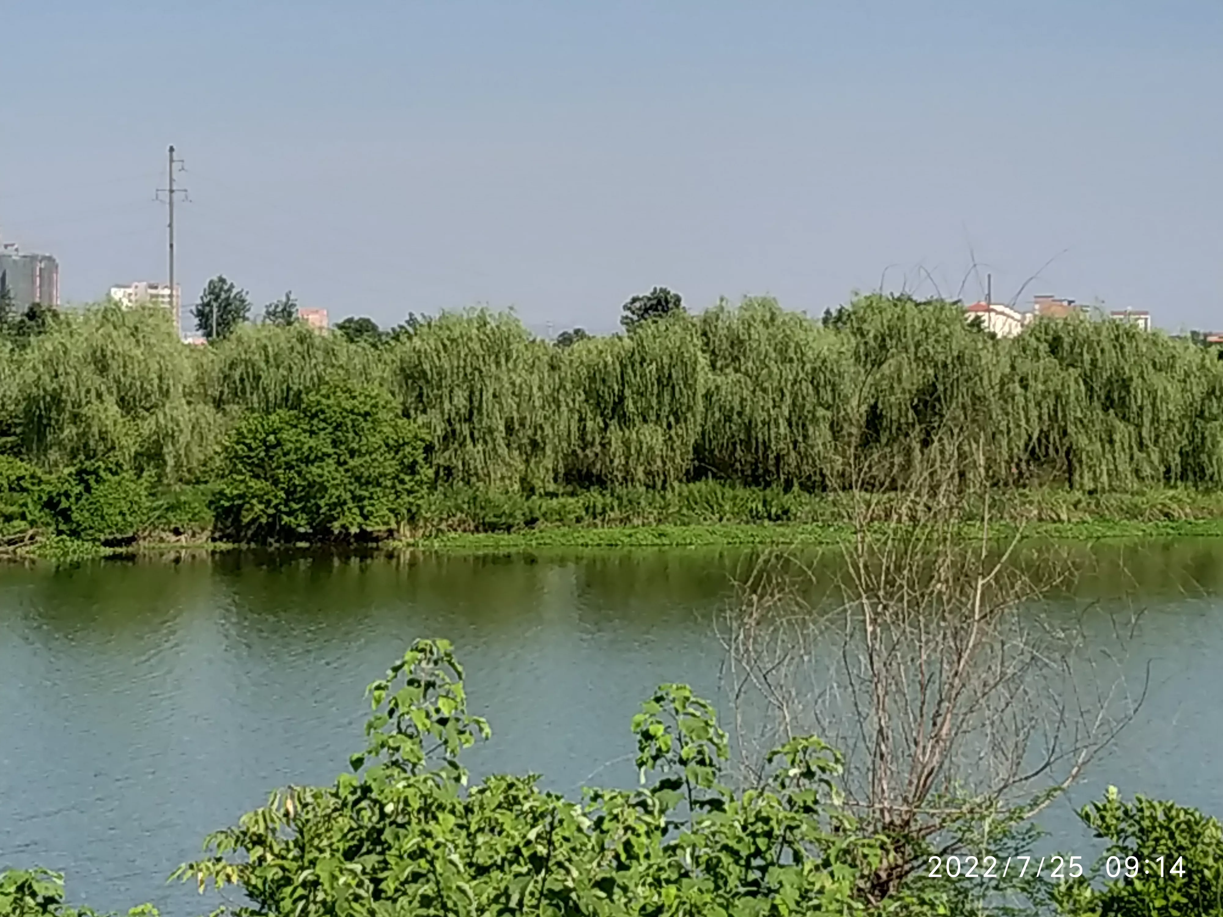 你家乡有什么美景?