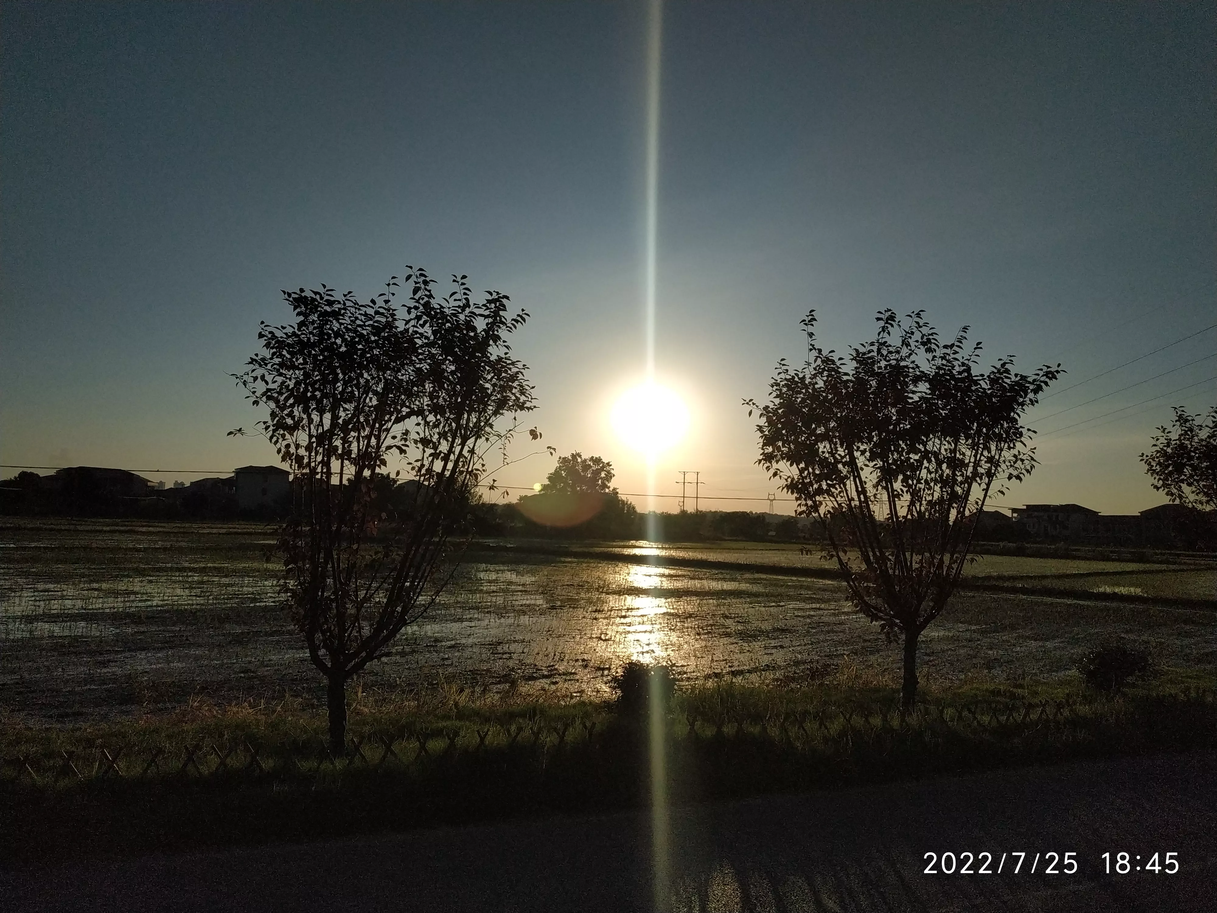 你家乡有什么美景?