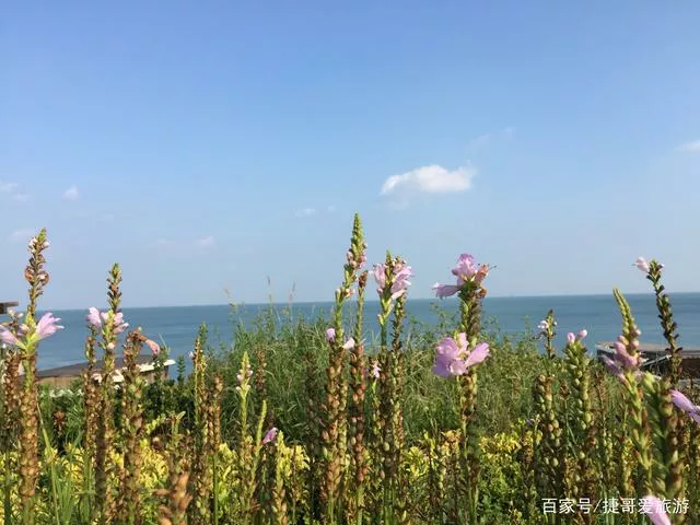 你家乡有什么美景?