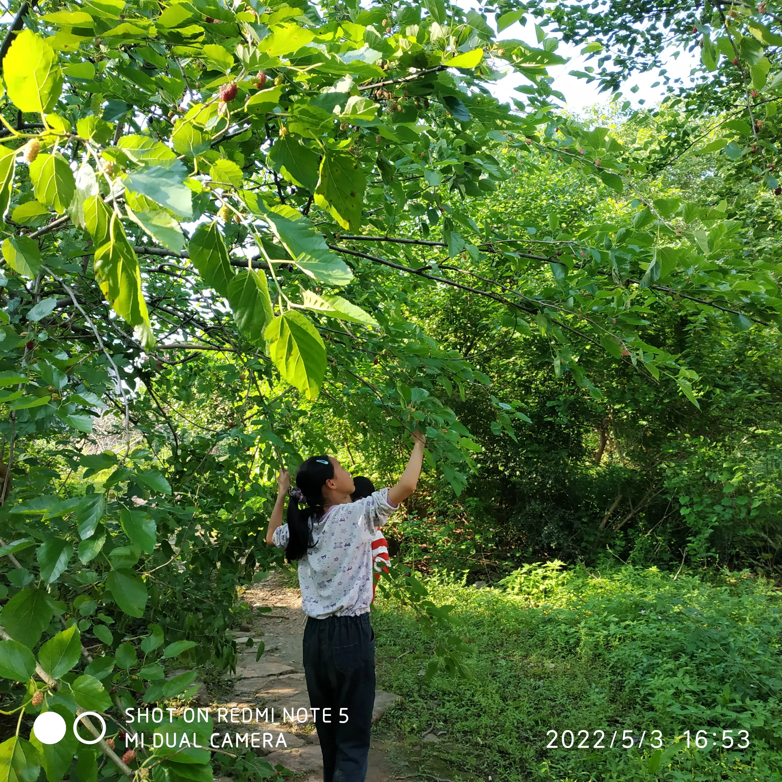 你家乡有什么美景?