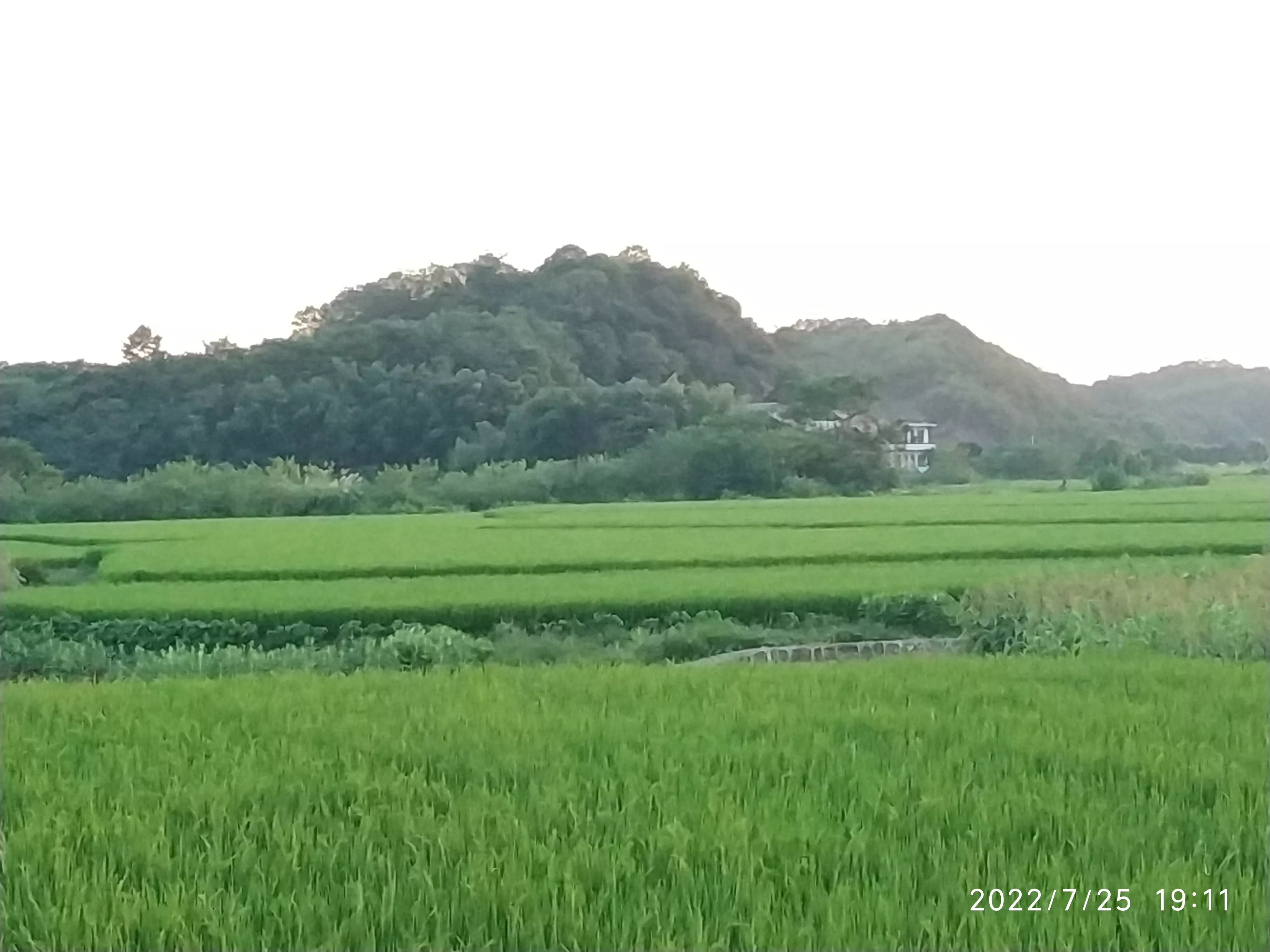 你家乡有什么美景?