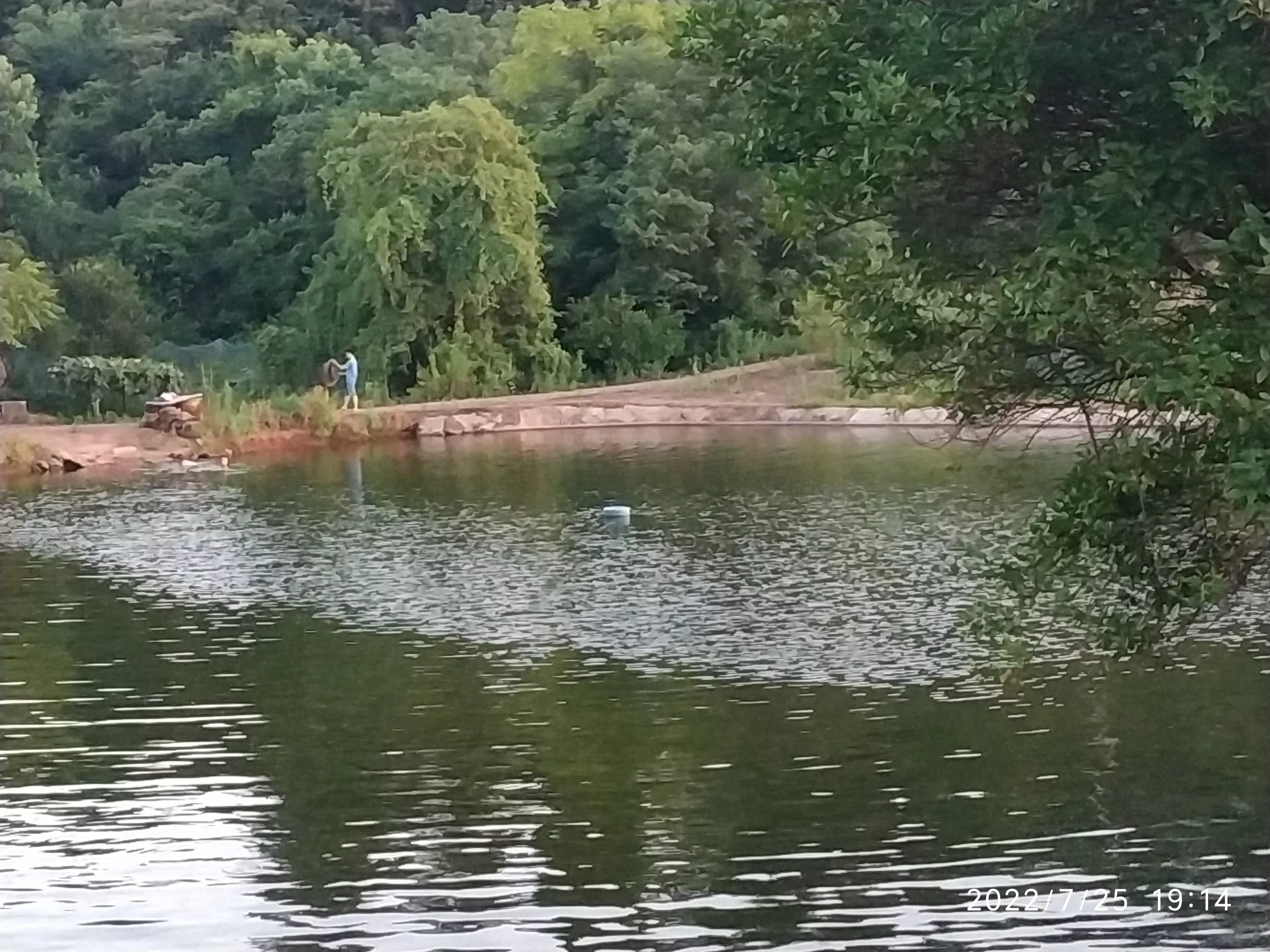 你家乡有什么美景?